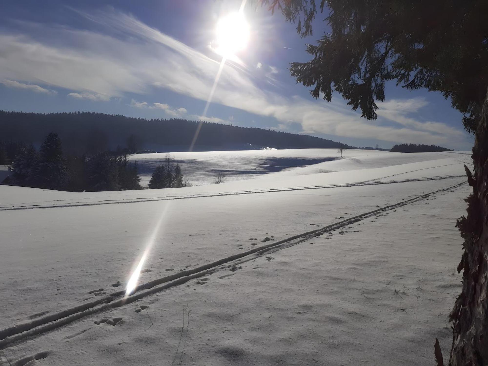 Ferienwohnung Brigachglueck Sankt Georgen im Schwarzwald Extérieur photo