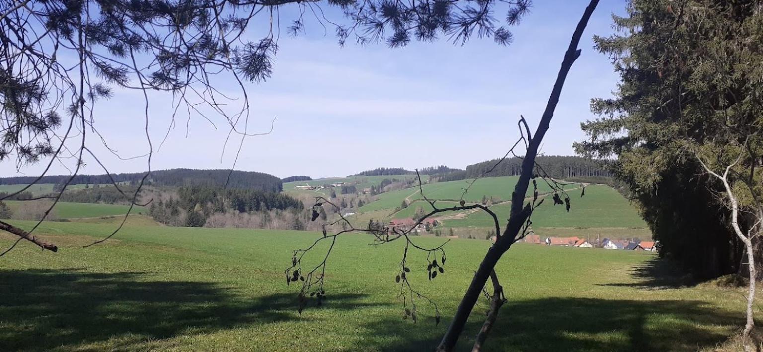 Ferienwohnung Brigachglueck Sankt Georgen im Schwarzwald Extérieur photo