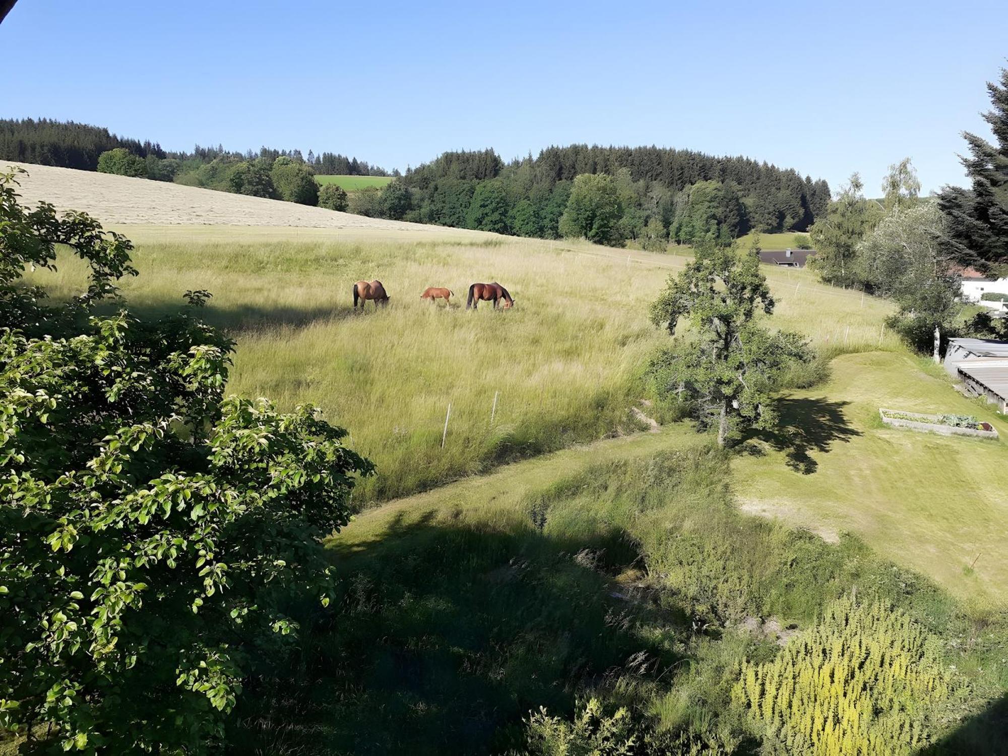 Ferienwohnung Brigachglueck Sankt Georgen im Schwarzwald Extérieur photo